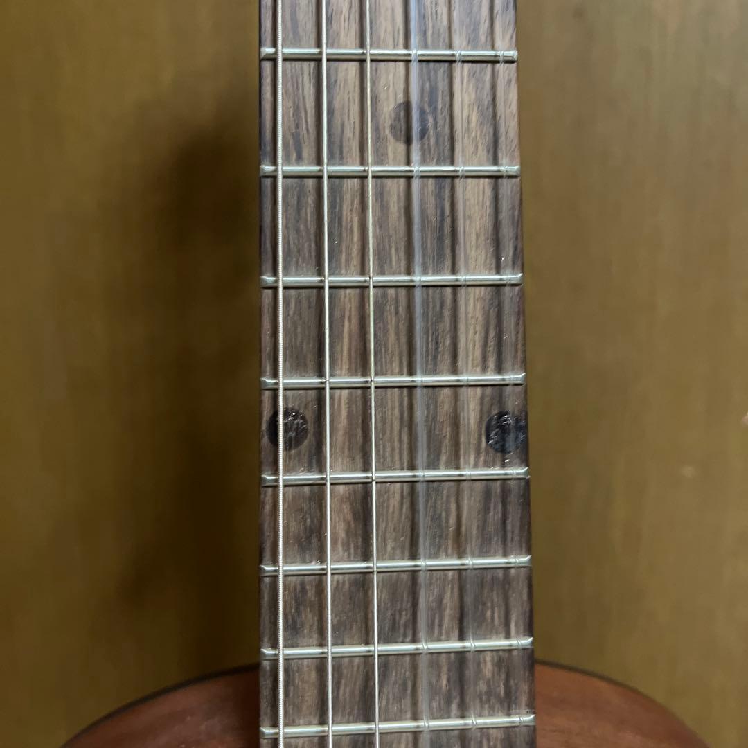 Cordoba/ C1M 1/4 size〈コルドバ〉袋ケース付き