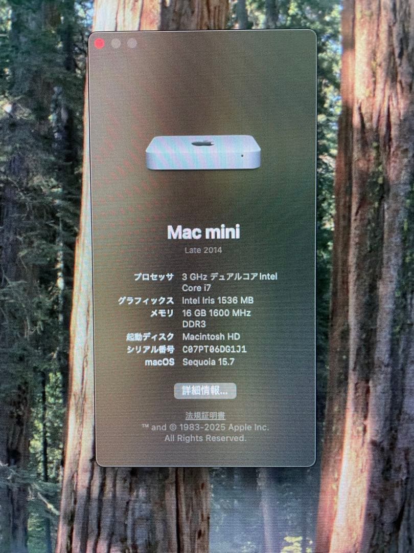 メ*ク様 Mac mini 2014 i7 16GB SSD128+HDD1TB