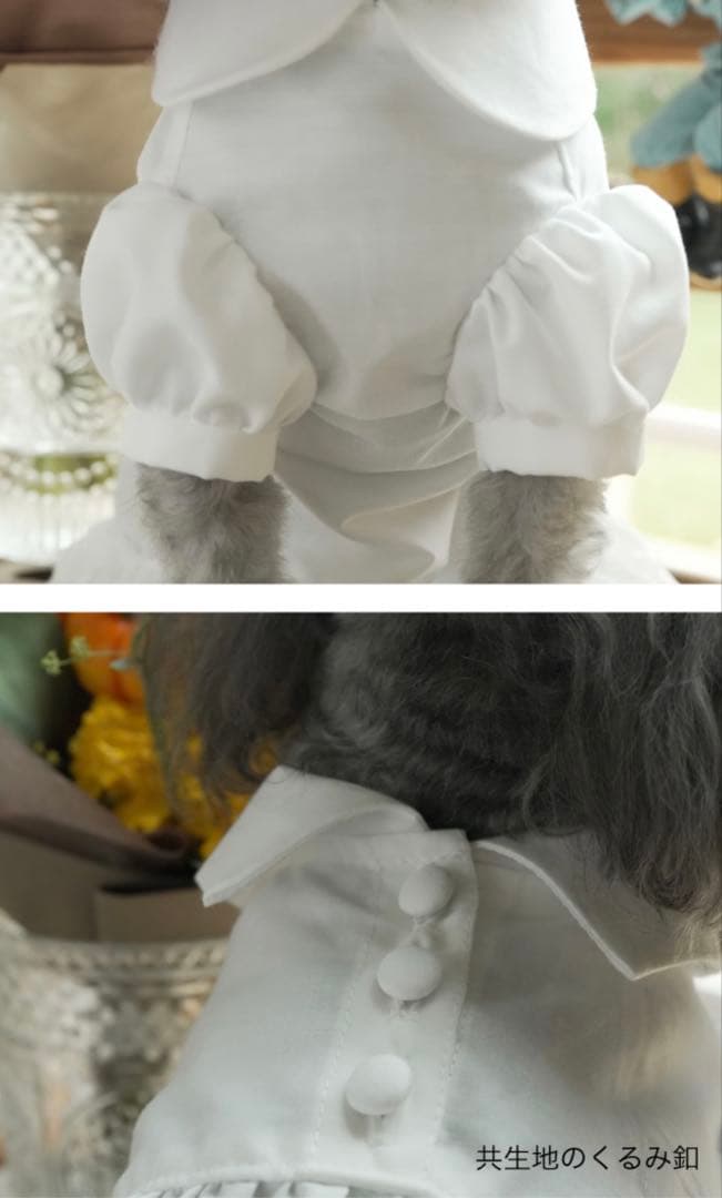 アトリエGG ドロシー〝火曜日のティータイム