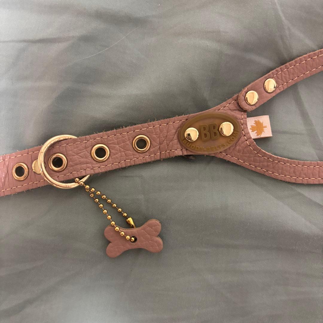 bb ベルトサイズ3バディーベルト ハーネス リードセット