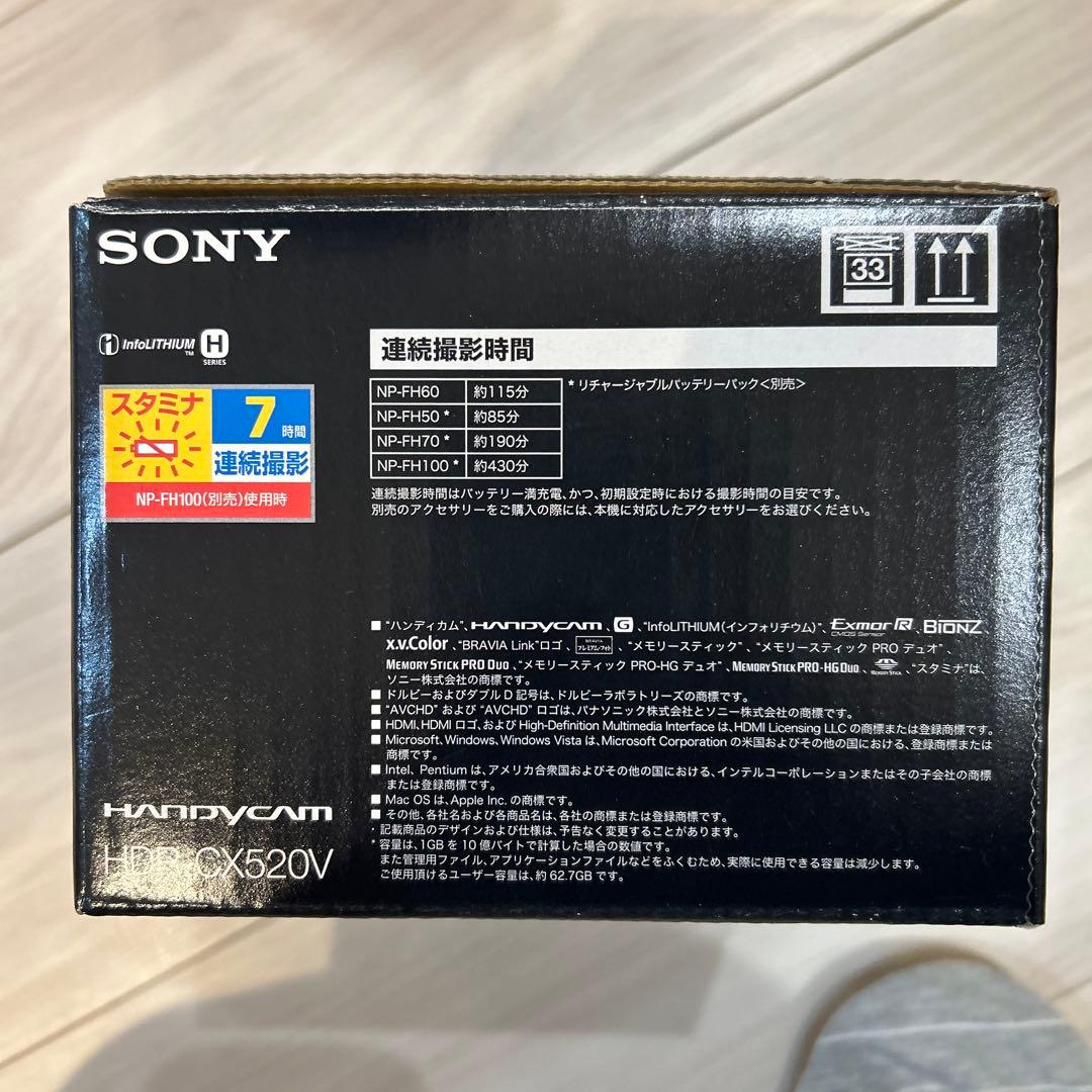SONY ビデオカメラレコーダー（HDR-CX520V）