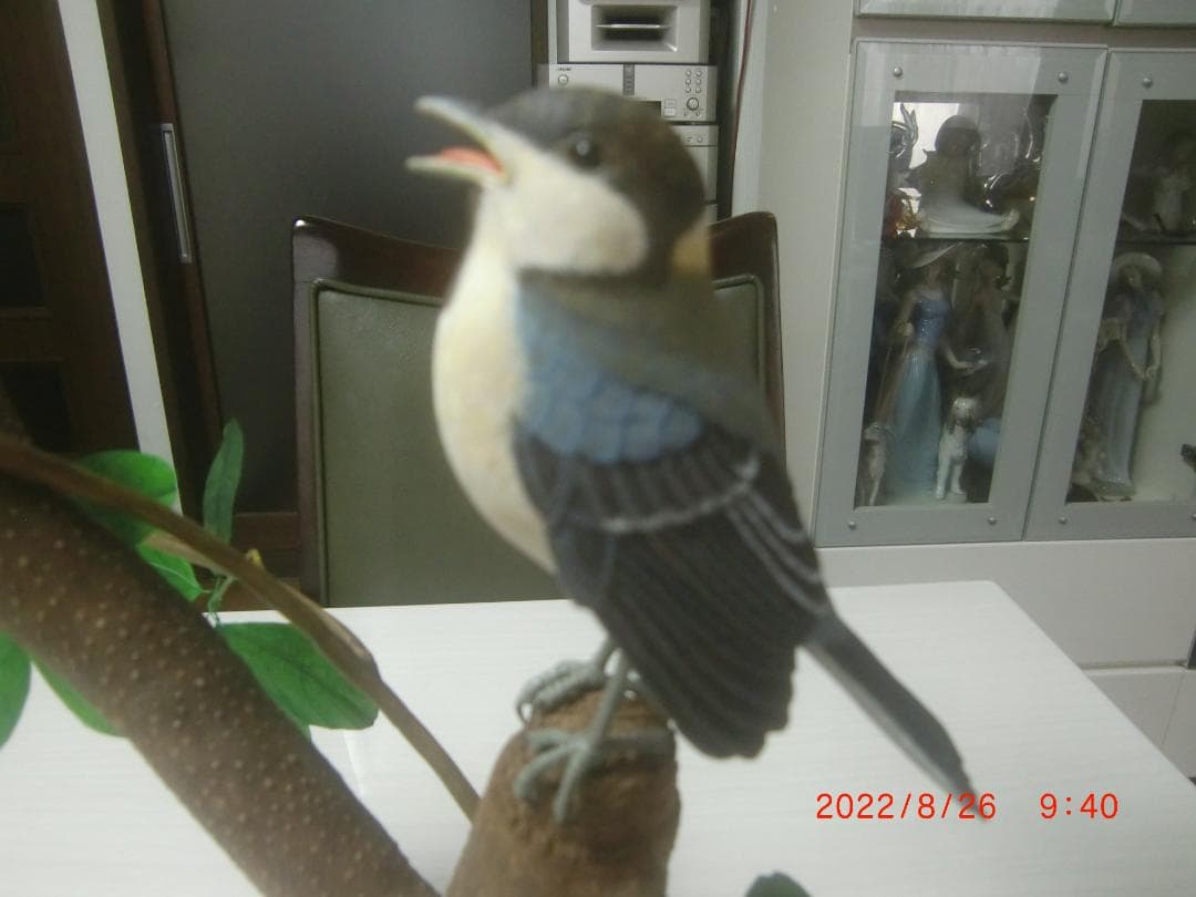 シジュウカラ　 バードカービング　野鳥彫刻　木彫 美術品 　インテリアＮ40