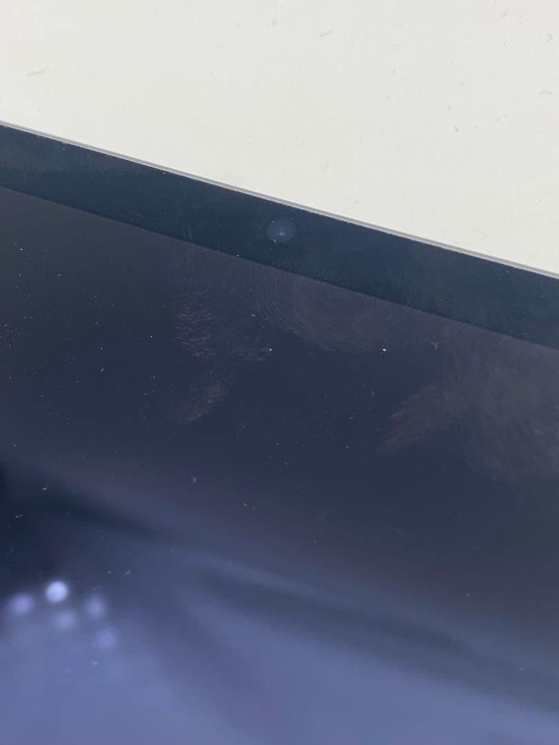 Apple iPad mini (青色) 本体