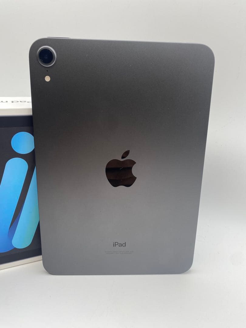 Apple iPad mini (青色) 本体