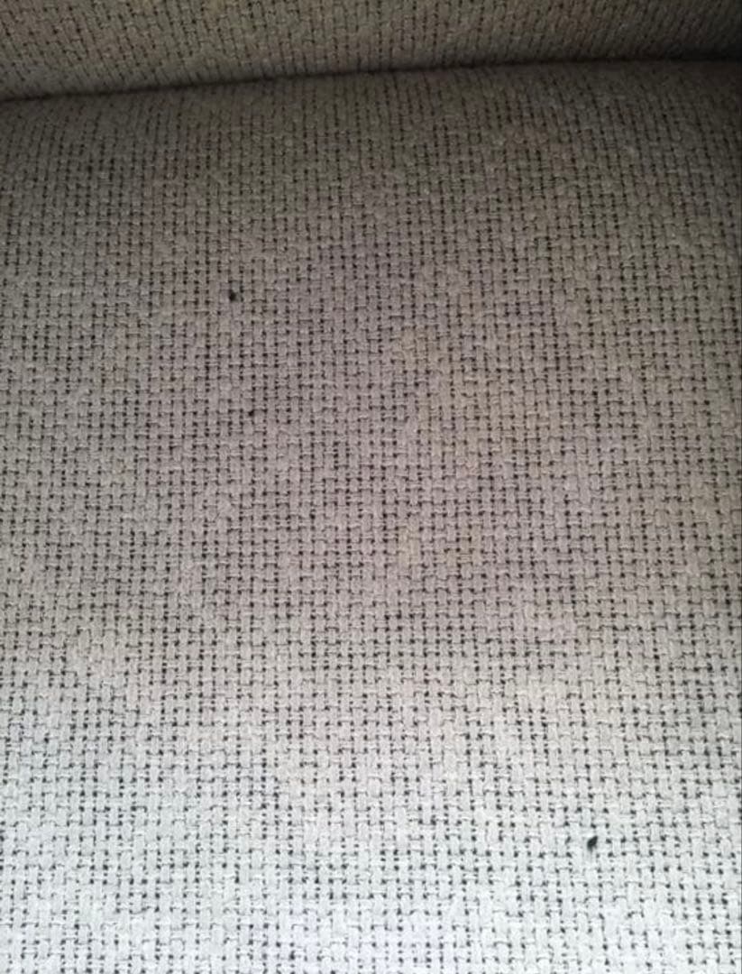 カッシーナ マラルンガ　送料込み