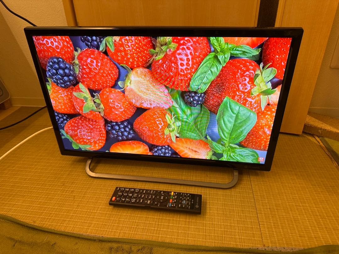 録画可！ELSONIC 24型　500GB内蔵　テレビ　2020年製　美品！
