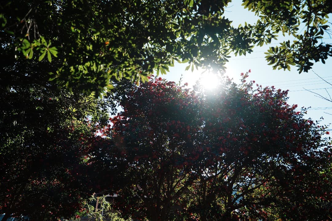 未使用級☆元1635GM所有プロが選んだTamron16-30 F2.8 G2