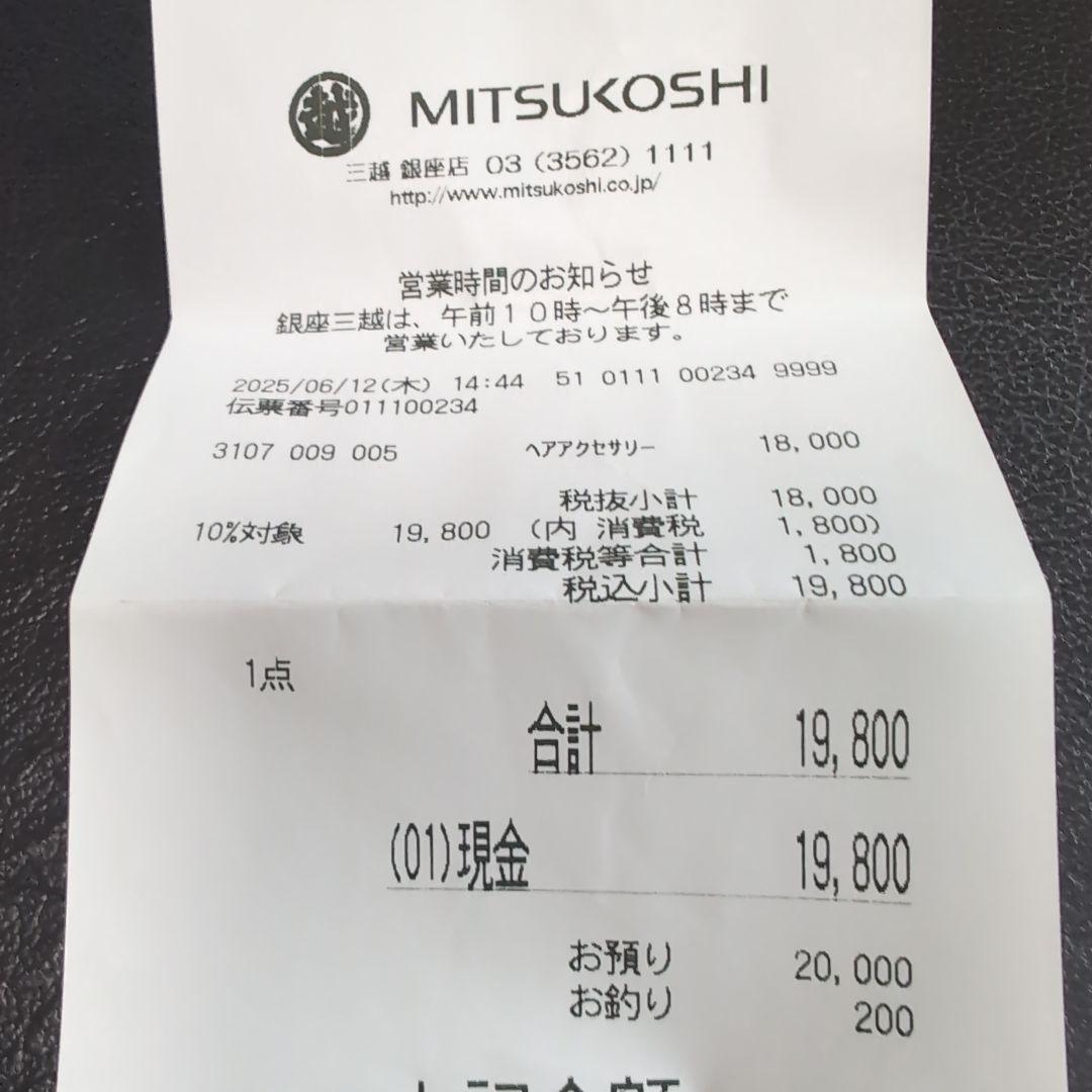 Complex Biz バレッタ新品未使用