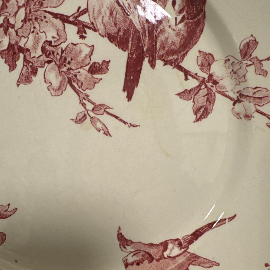 期間限定お値下げサルグミンヌFavoriシリーズ平皿