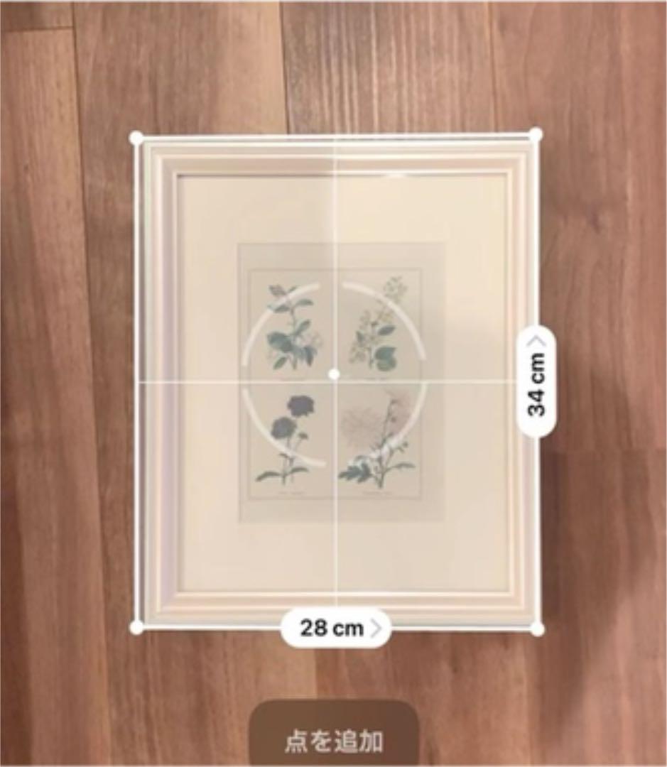 植物イラスト　ヴィンテージ　インテリアアート　額縁付き　壁掛け