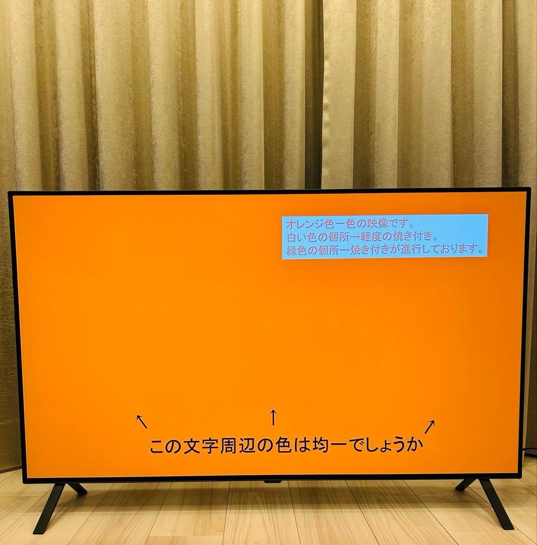 LG 48型 2022年製 Alexa搭載 OLED48A2PJA 4K有機EL