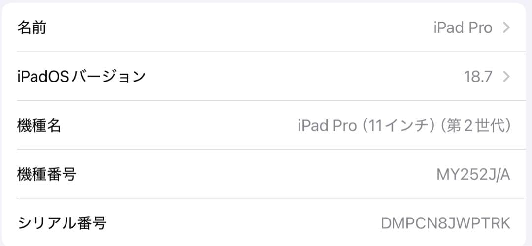 iPad Pro 11インチ (第2世代) 128GB Wi-Fi シルバー