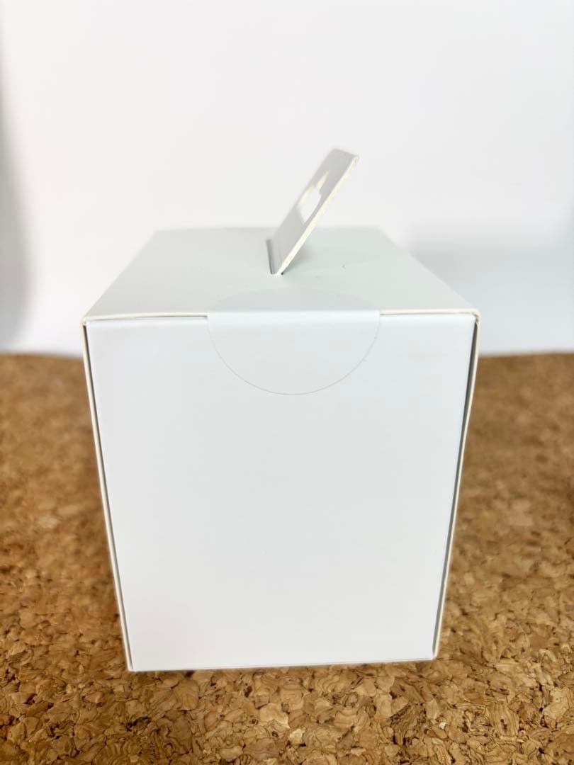 【新品】JVC ケンウッド Victor HA-NP1T-A ティールブルー色