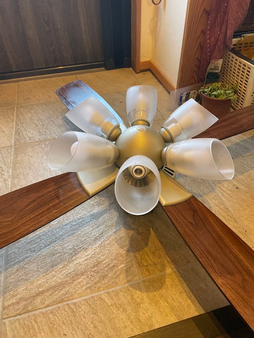 大光電機シーリングファン 電球色2700K