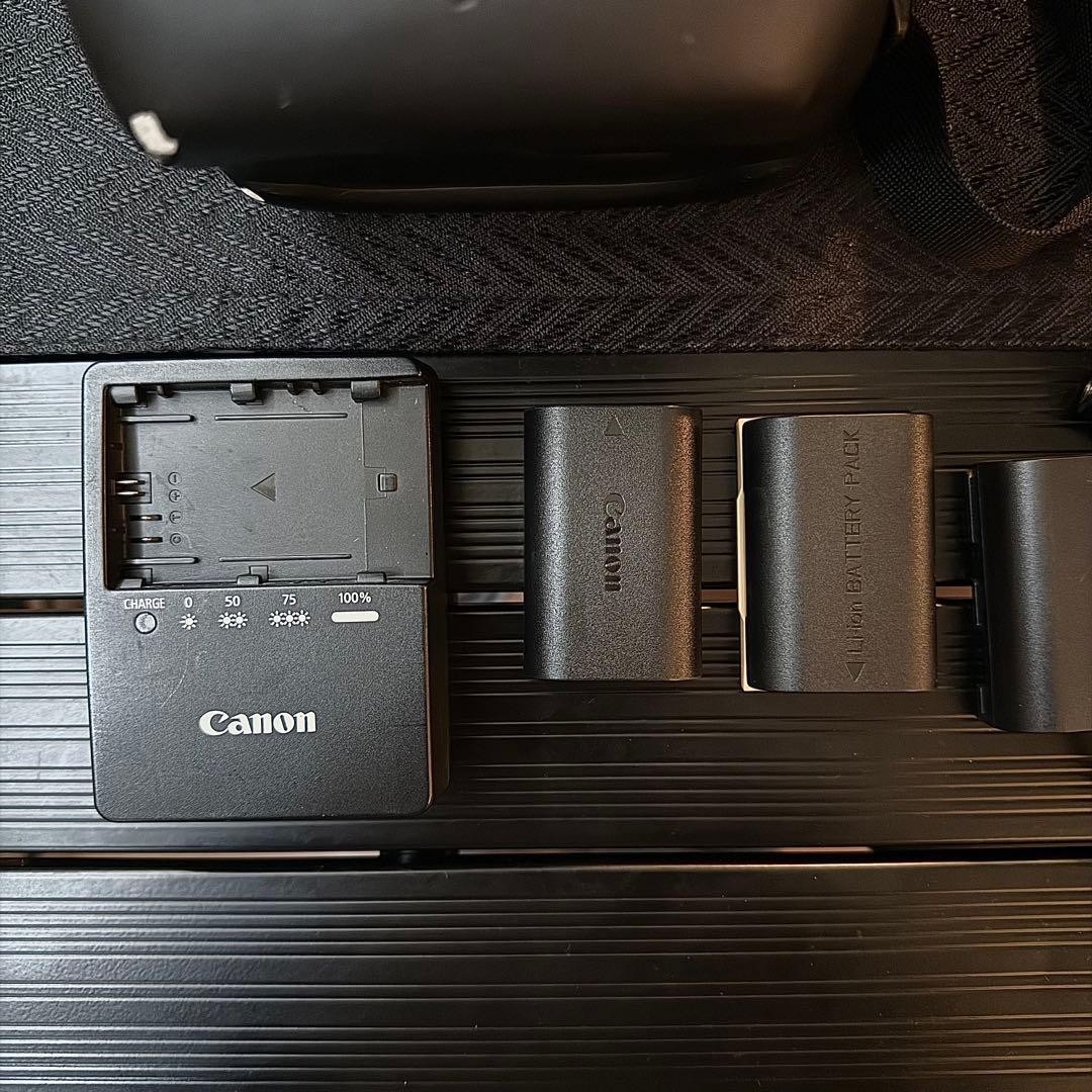 【美品】Canon EOS 7D MARK2 EF-S18-135レンズキット