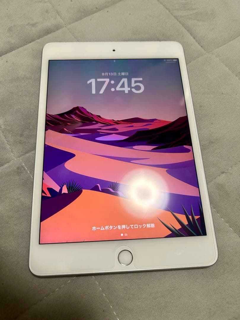 美品 傷無 iPad mini5 64G WiFi Cellular SIMフリ