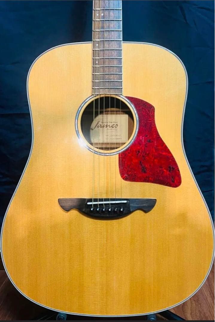 james JD750 アコースティックギター