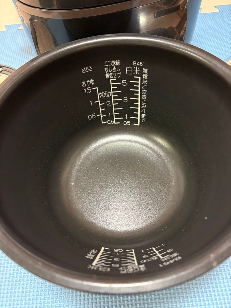 ⭐︎専用⭐︎南部鉄釜 極め炊き NP-WU10型　説明書あり