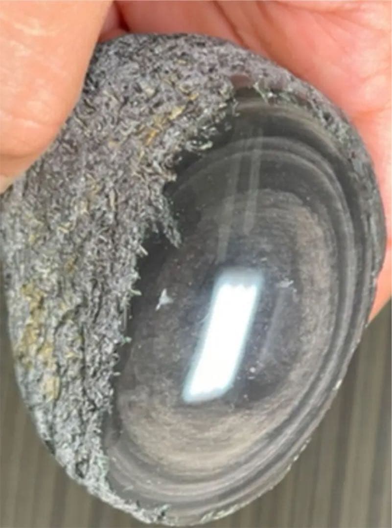 研磨済　十勝石玲瓏　マホガニーオブシディアン　シルバー系ゴールドシラー