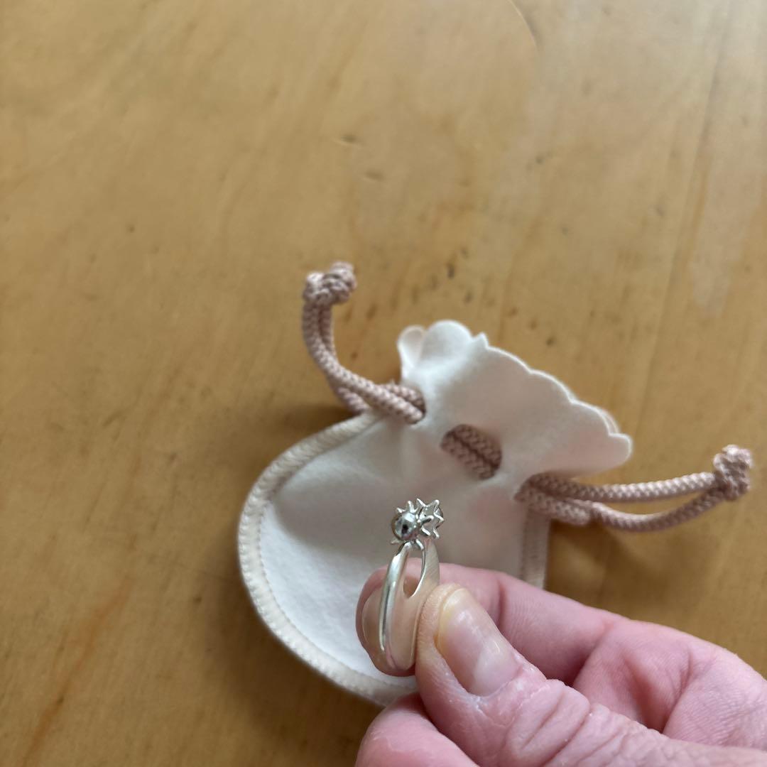 伊勢谷友介 HappySauceピアス両耳セット