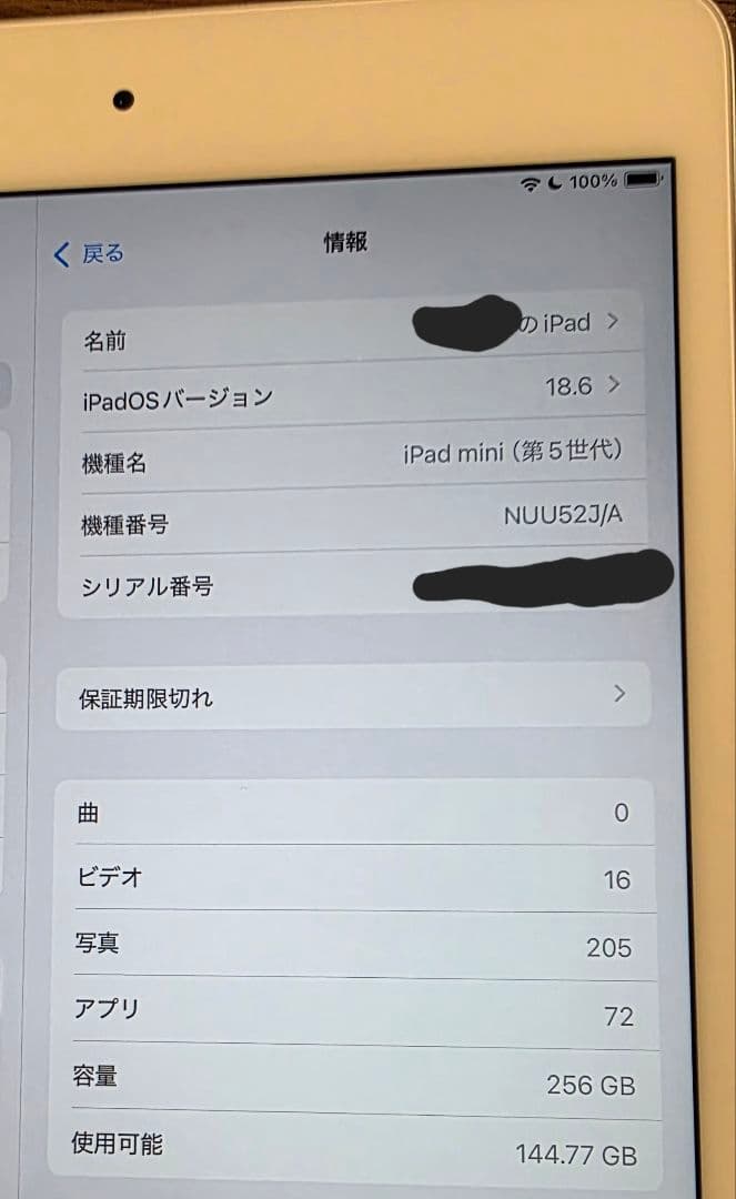 iPad mini(第５世代) Wi-Fi256GBシルバー　　 非純正ペン付き