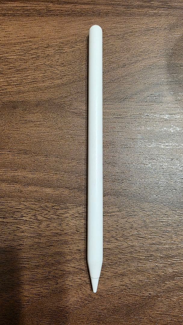 iPad mini(第５世代) Wi-Fi256GBシルバー　　 非純正ペン付き