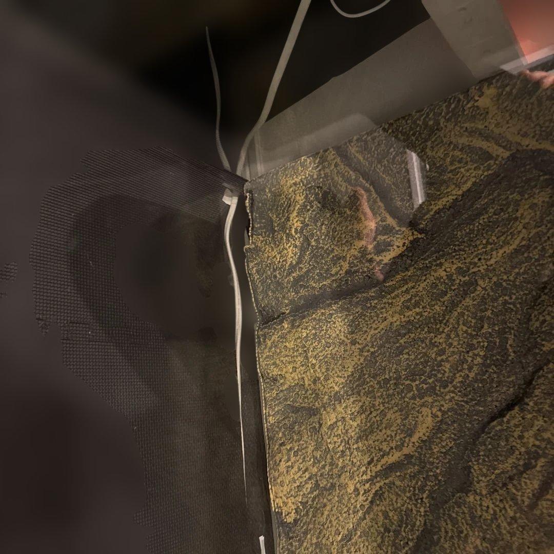 爬虫類ケージ　ＧＥＸ　エキゾテラ　グラステラリウム　９０４５　手渡し限定