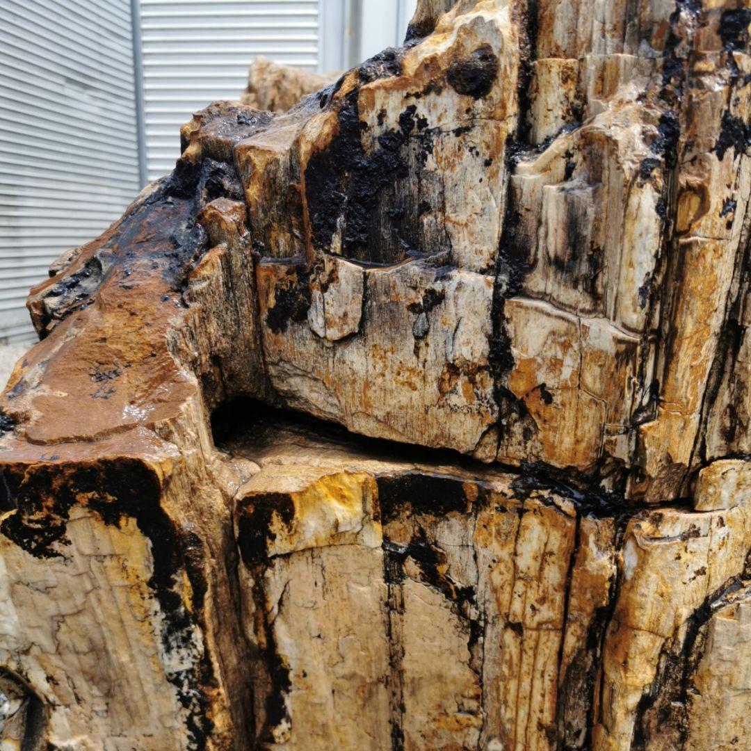 秋田産　珪化木　349キロ　木化石　庭石　石　鑑賞石　置物　オブジェ