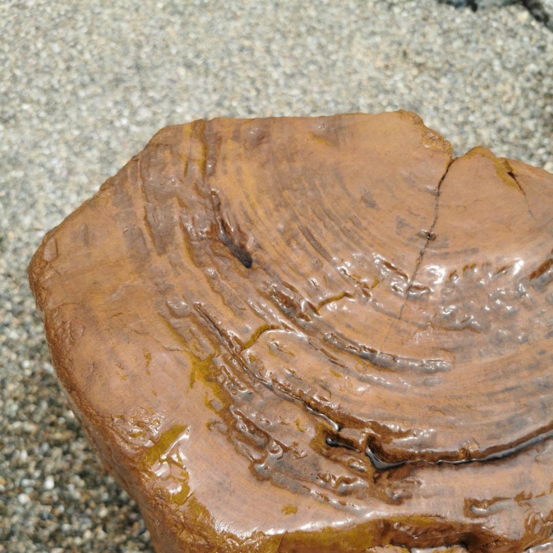 インドネシア産　珪化木　255キロ　木化石　庭石　鑑賞石　石　置物　オブジェ