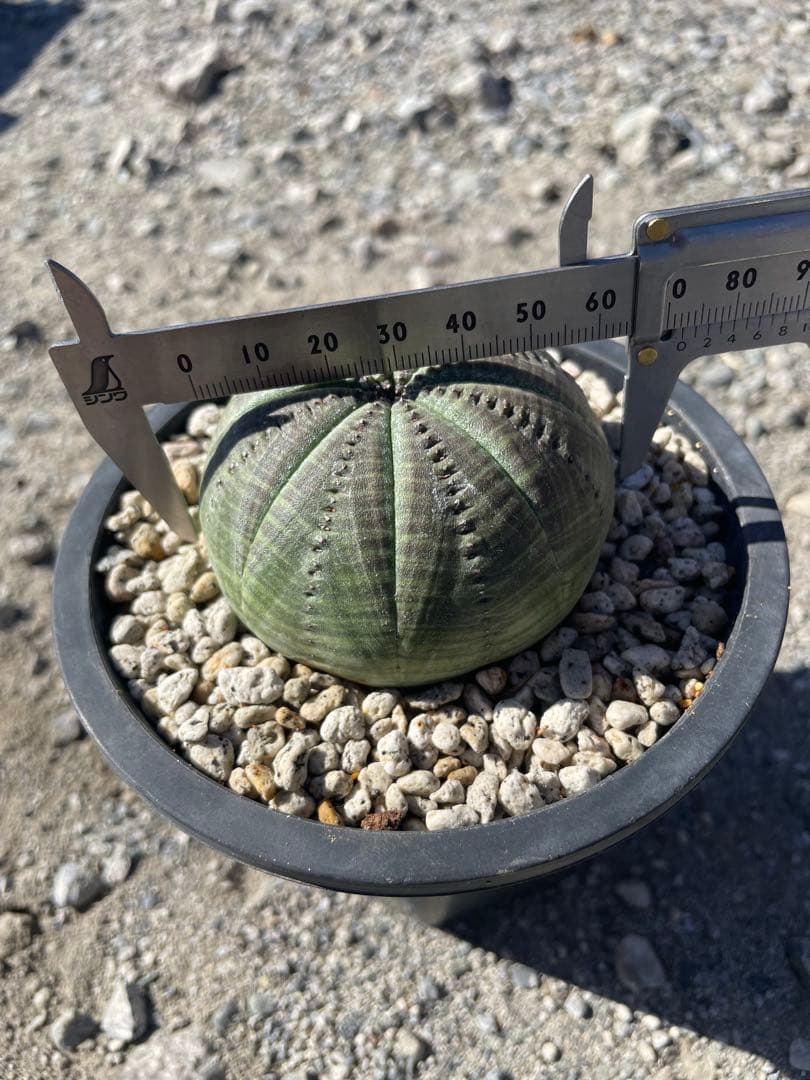 sin.723 キャンセルでも大丈夫です☺︎