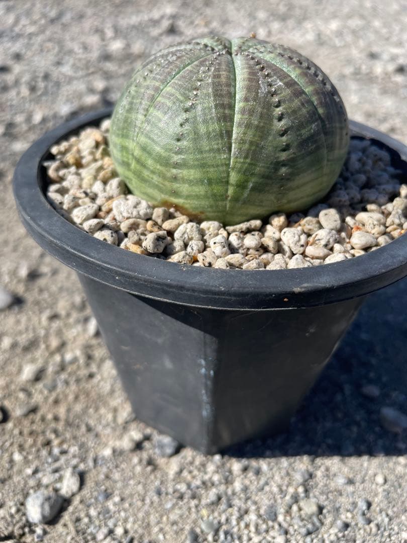 sin.723 キャンセルでも大丈夫です☺︎