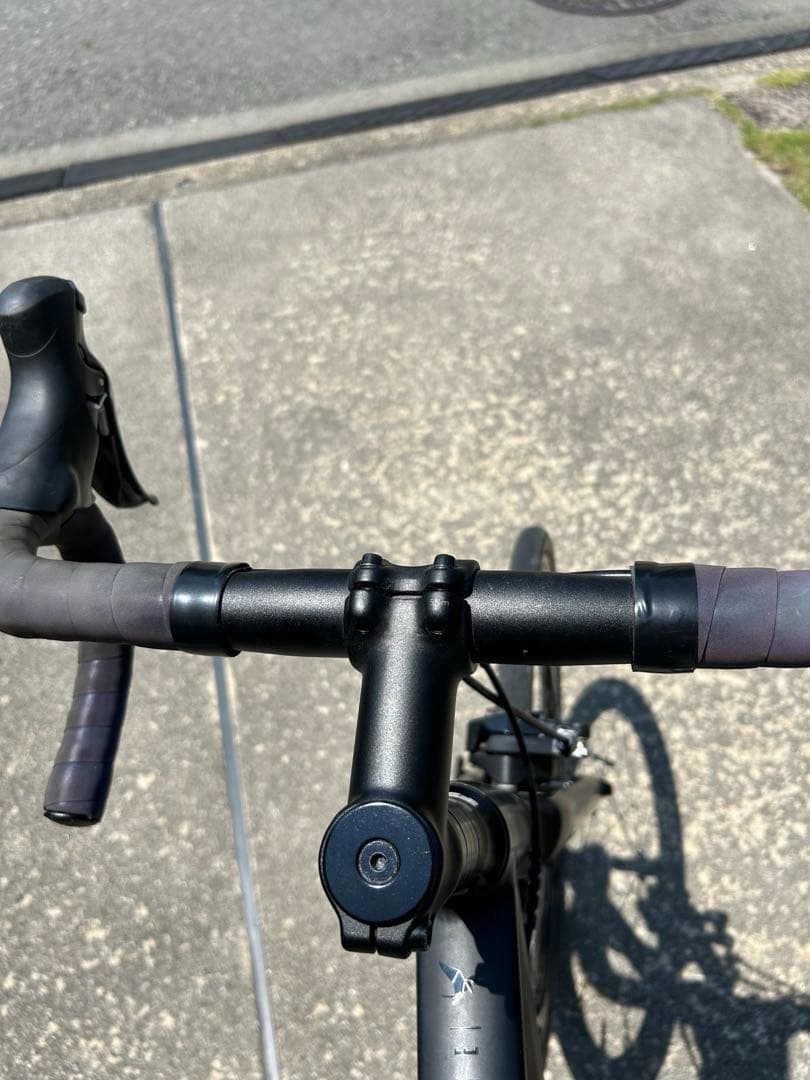 (ともさーもん様)ターン ternサージュ surge 韋駄天 シュワルベワン