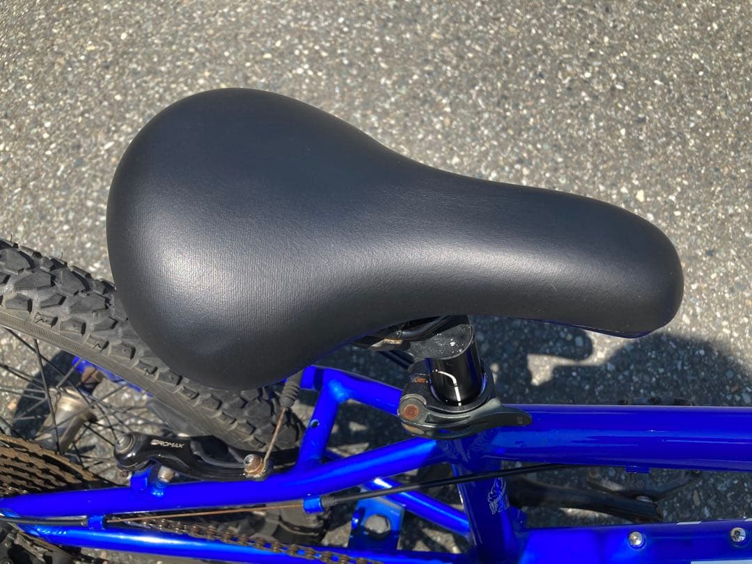 ⚫︎Bianchi pirata 20⚫︎ビアンキ ピラータ20インチ