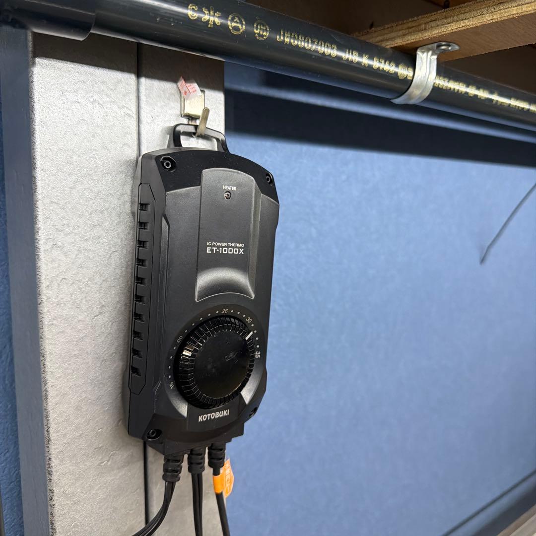 大型オーバーフロー水槽一式／引き取り限定