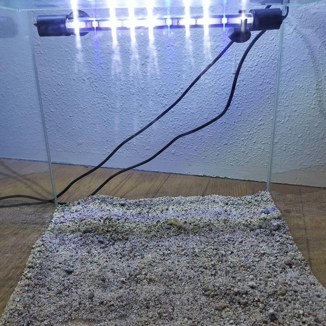 水草水槽　アクアテラリウム　水槽セット