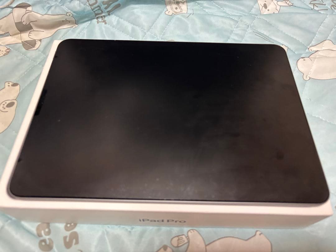 iPadPro11インチ 第2世代