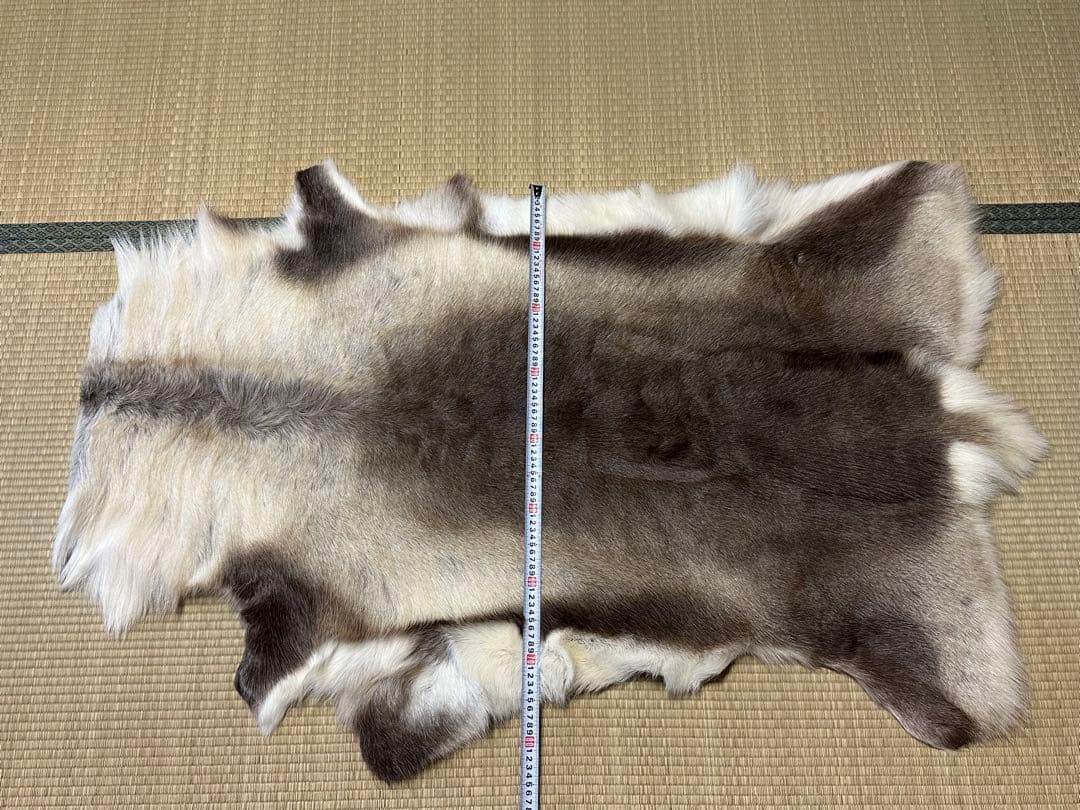 み*ん様 DALUM REINDEER トナカイ Lサイズ 毛皮