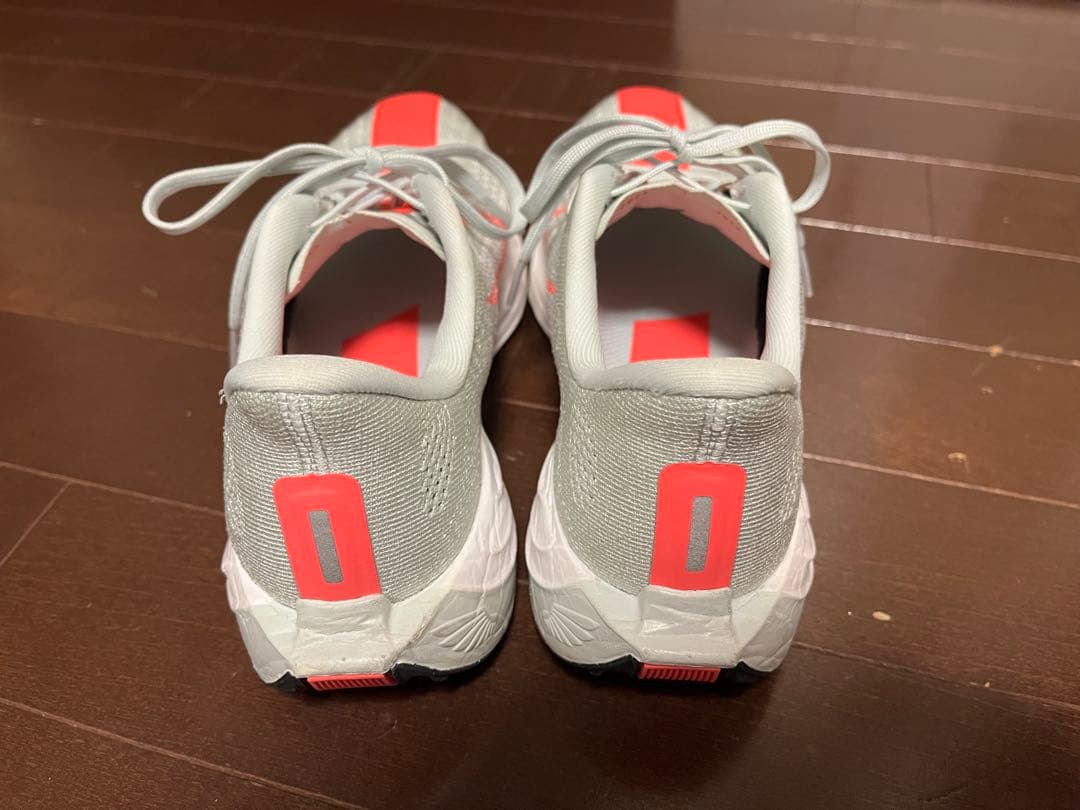 Nike☆ペガサスプラス☆24.5cm☆ナイキ☆zoom x