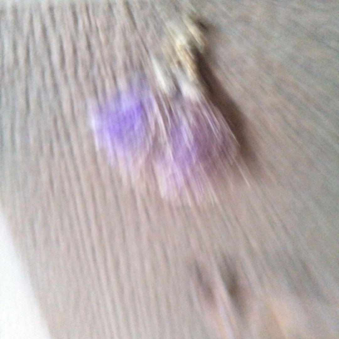 親馬と子馬の浮彫り 置物 美術品