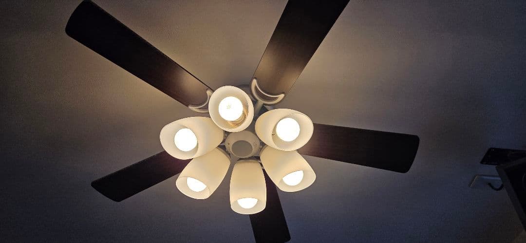 ODELIC　オーデリック　シーリングファンライト 6灯 SH9073LDR