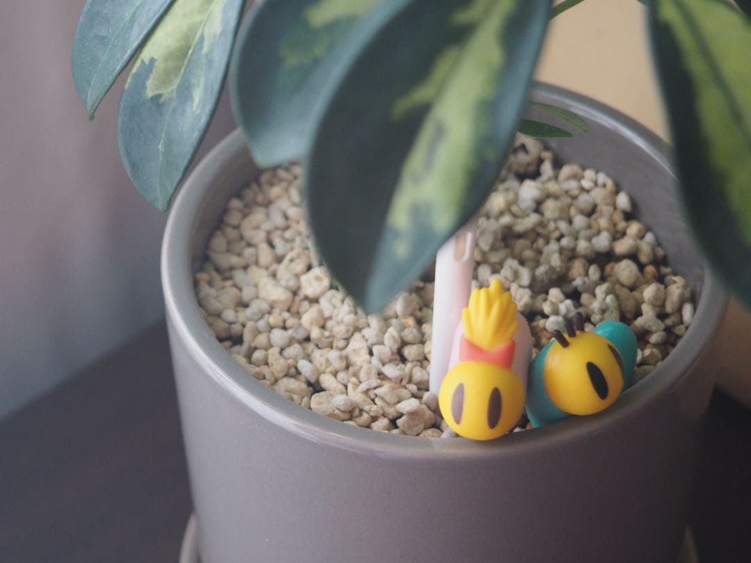 OLYMPUS PEN E-PL8 レンズキット スマホ転送OK