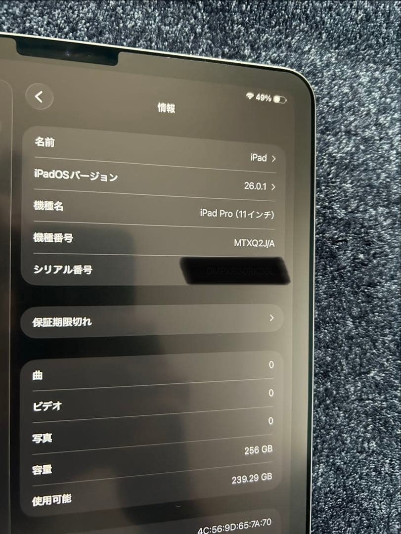 Apple iPad Pro (11インチ) 258GB