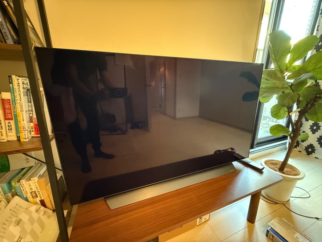 LG OLED48C1PJ8 有機ELテレビ