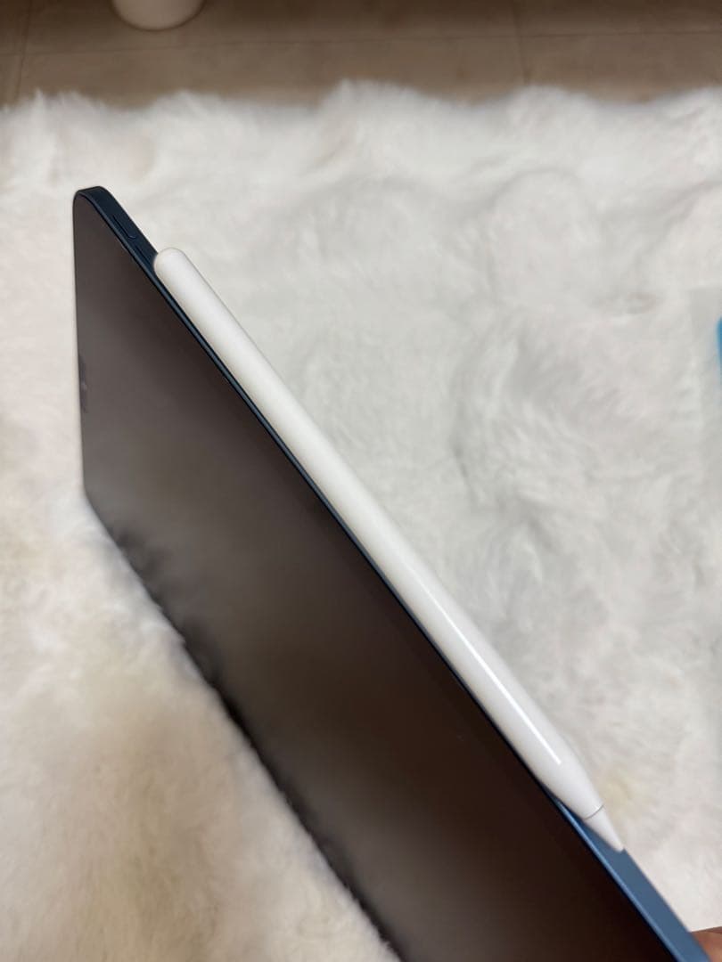 iPad Air 第5世代 ApplePencil互換品 ケース 画面保護シート