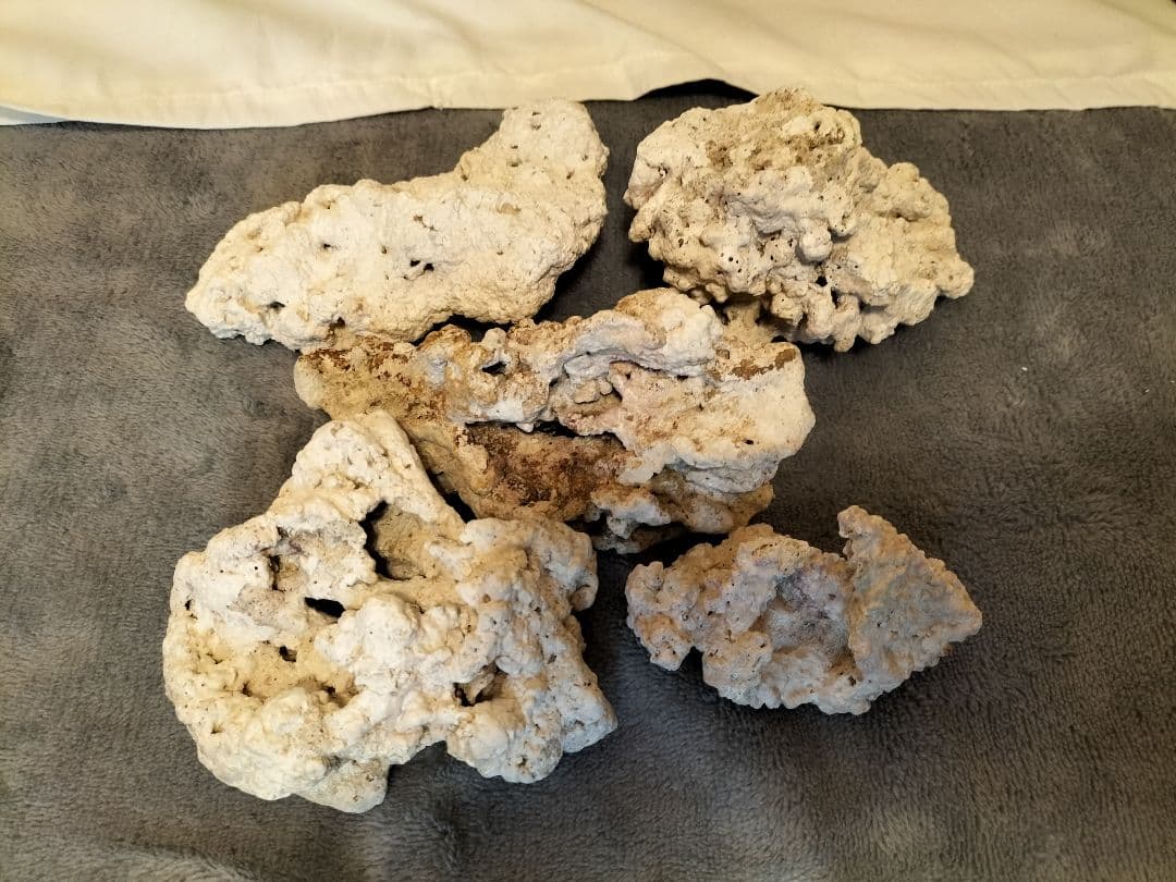 小型　オーバーフロー水槽　水槽　セット　海水魚　淡水魚　ガラス