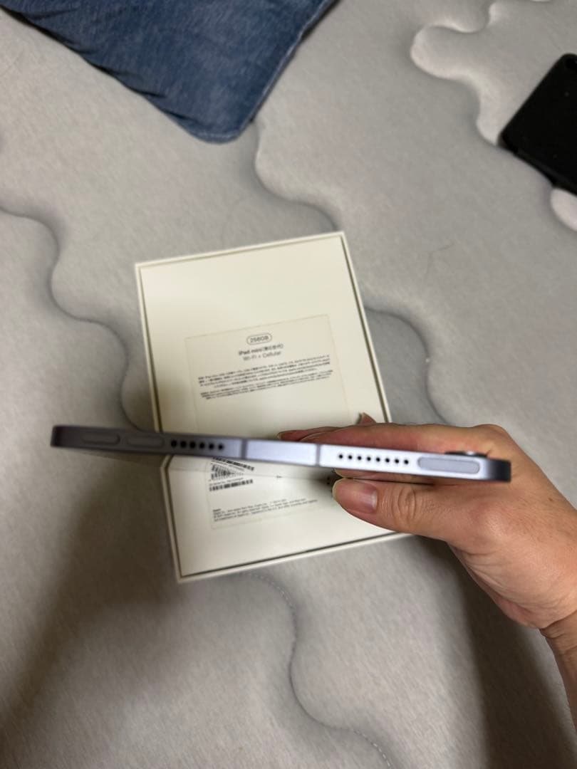 iPad mini(第6世代)256GB Wi-Fi＋Cellular