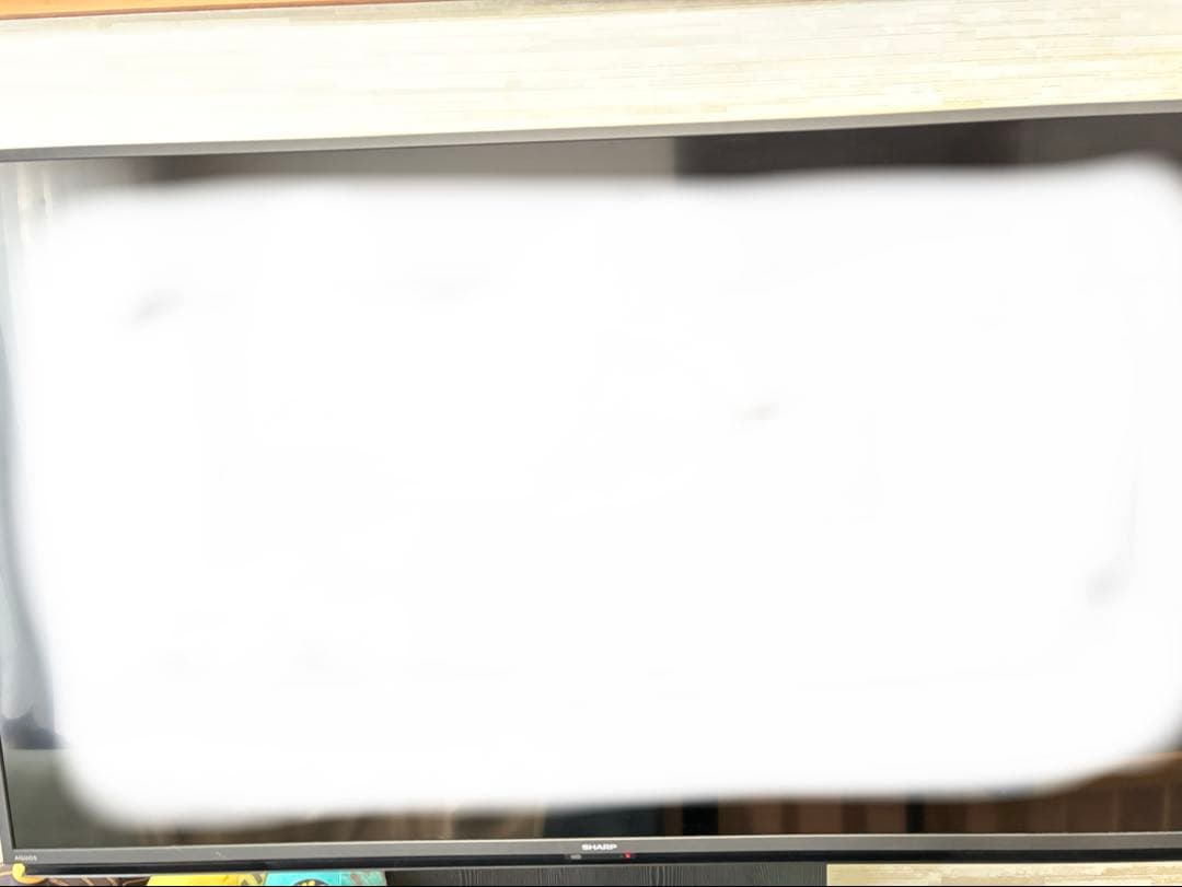 AQUOS 4K液晶テレビ DL1ライン　50V