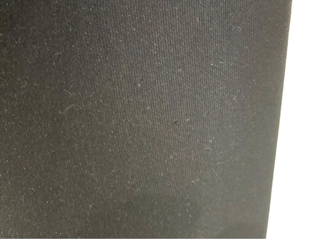 ◇BANG & OLUFSEN B&O スピーカー ペア BEOLAB 4000