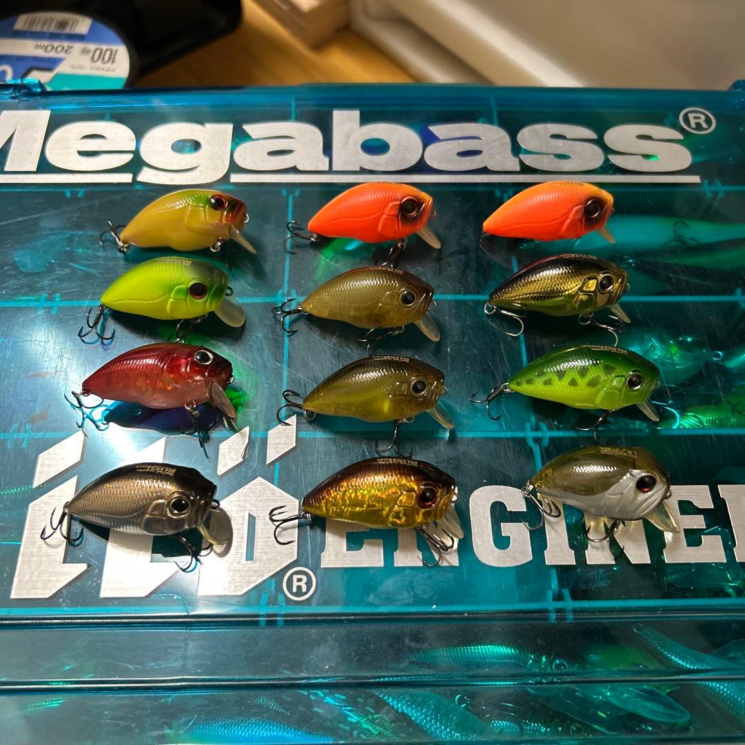 インキュベーター RUSH ラッシュ 60 DROP ドロップ 75