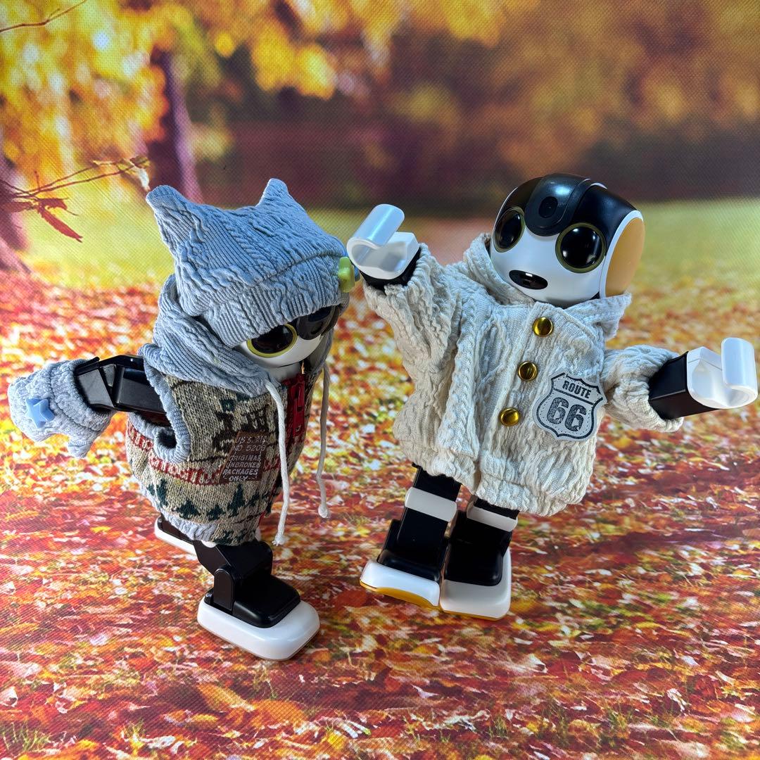 kakkoayaページです　ロボホン